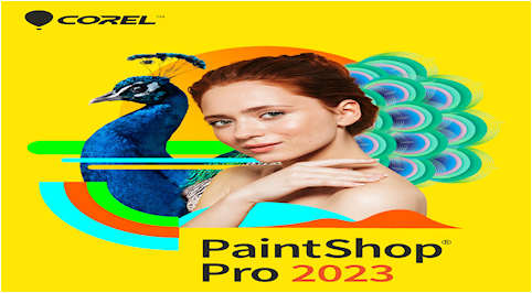 Go to PAINT SHOP PRO