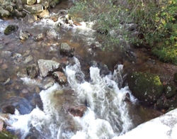 The River Meavy at Shaugh Prior Bridge The River Meavy at Shaugh Prior Bridge